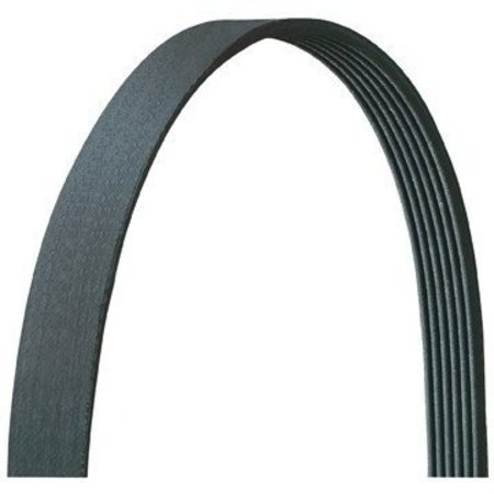 DAYCO V-Ribbed Belt Drive Rite Belt, 5060370Dr 5060370DR